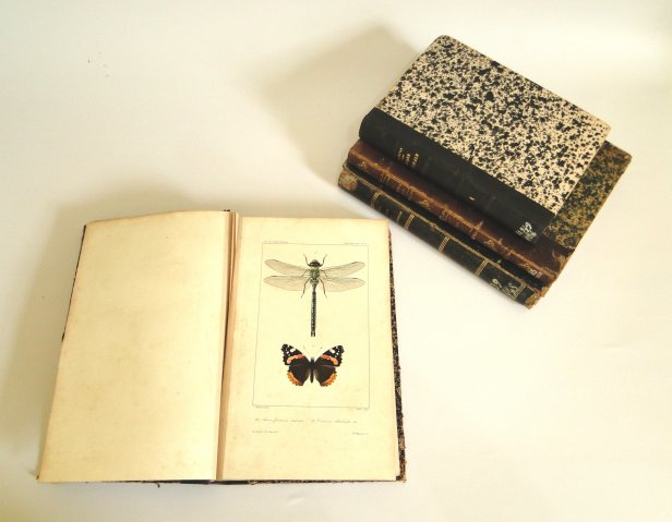 Acervo - Coleção bibliográfica